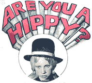 Are you a hippy?